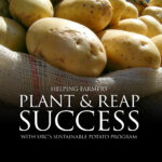 37 – JG SUMMIT – Sustainable Potato Farming – Cover