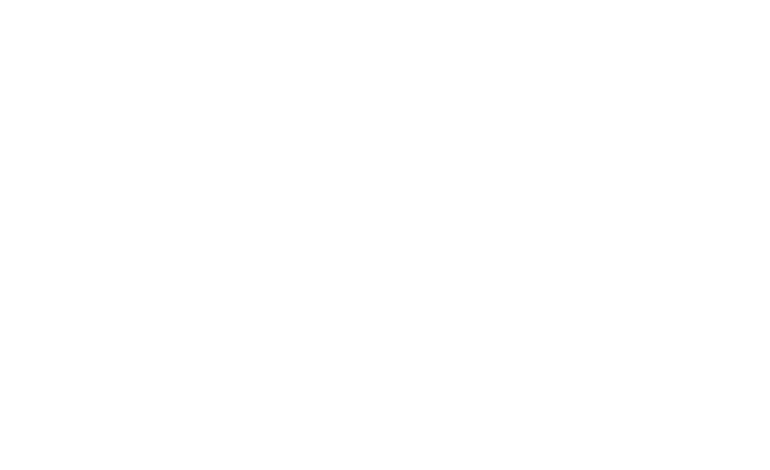 GOLDEN FLAG AWARD