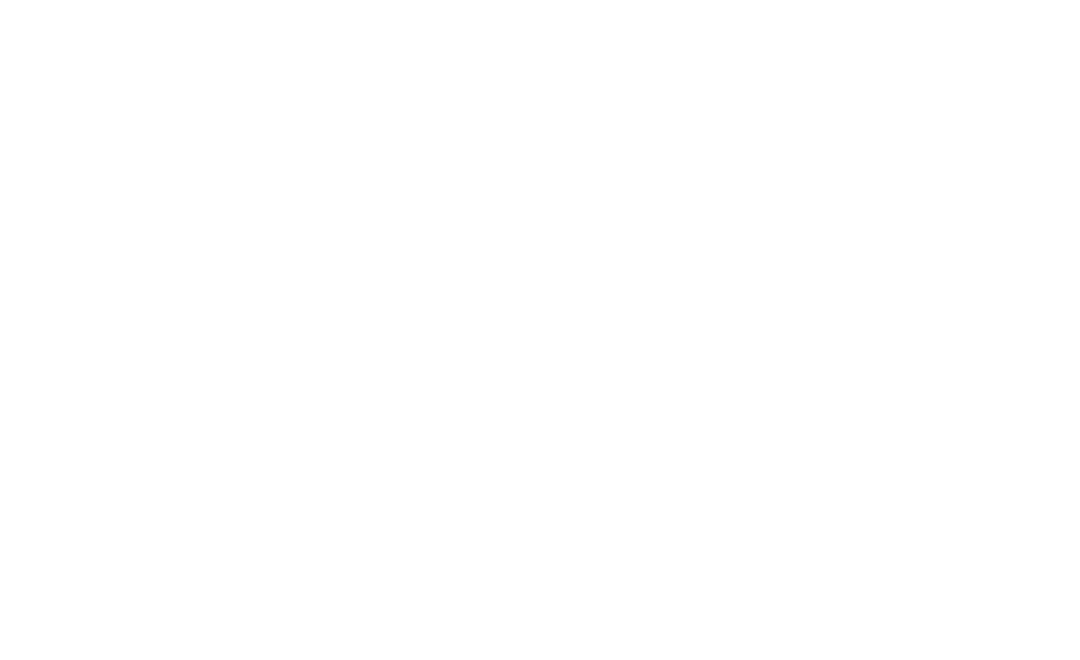 THE SABRE